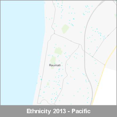 Ethnicity Raumati Pacific ProductImage 2013