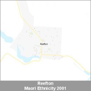Ethnicity Reefton Maori ProductImage 2001