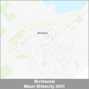 Ethnicity Richmond Maori ProductImage 2001