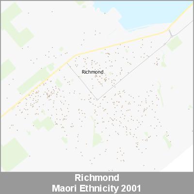Ethnicity Richmond Maori ProductImage 2001