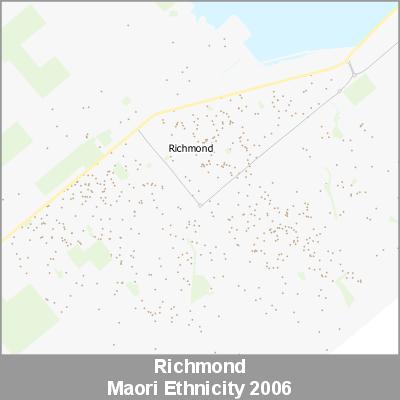 Ethnicity Richmond Maori ProductImage 2006