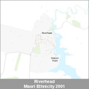 Ethnicity Riverhead Maori ProductImage 2001