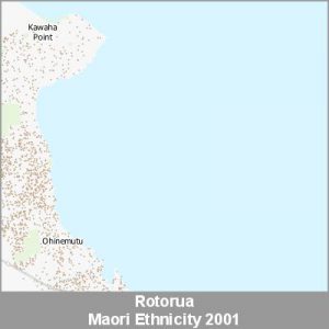 Ethnicity Rotorua Maori ProductImage 2001
