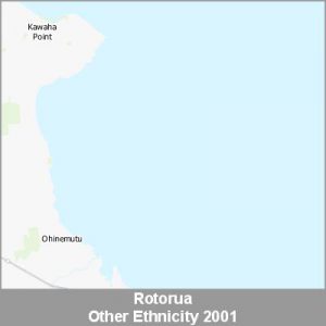Ethnicity Rotorua Other ProductImage 2001