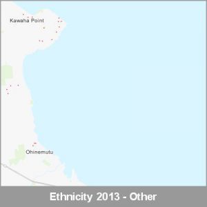 Ethnicity Rotorua Other ProductImage 2013