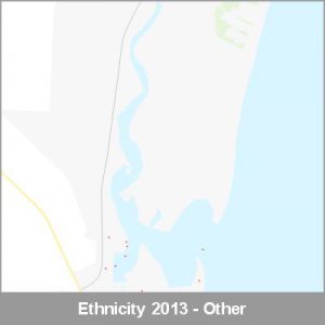 Ethnicity Ruakaka Other ProductImage 2013