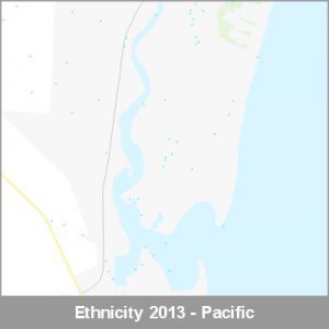 Ethnicity Ruakaka Pacific ProductImage 2013