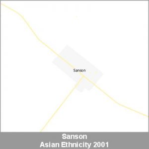 Ethnicity Sanson Asian ProductImage 2001