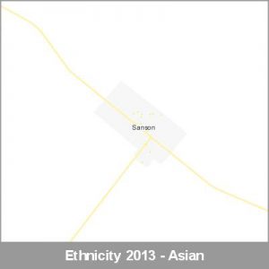 Ethnicity Sanson Asian ProductImage 2013