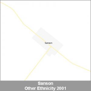 Ethnicity Sanson Other ProductImage 2001