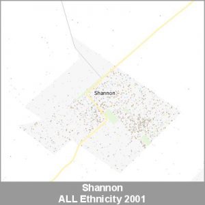 Ethnicity Shannon ALL ProductImage 2001