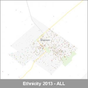 Ethnicity Shannon ALL ProductImage 2013