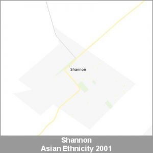 Ethnicity Shannon Asian ProductImage 2001
