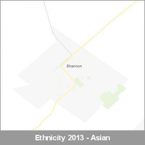 Ethnicity Shannon Asian ProductImage 2013