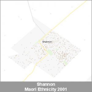 Ethnicity Shannon Maori ProductImage 2001