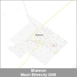 Ethnicity Shannon Maori ProductImage 2006