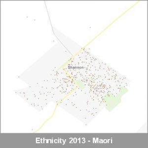 Ethnicity Shannon Maori ProductImage 2013