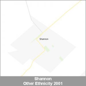 Ethnicity Shannon Other ProductImage 2001