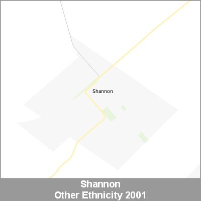 Ethnicity Shannon Other ProductImage 2001