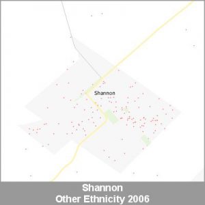 Ethnicity Shannon Other ProductImage 2006