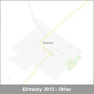 Ethnicity Shannon Other ProductImage 2013