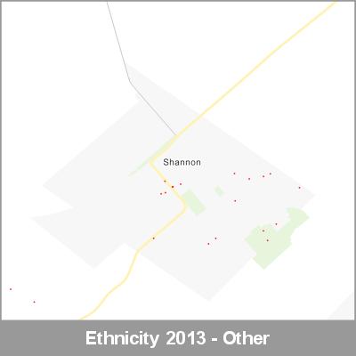 Ethnicity Shannon Other ProductImage 2013