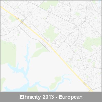 Ethnicity South Auckland European ProductImage 2013
