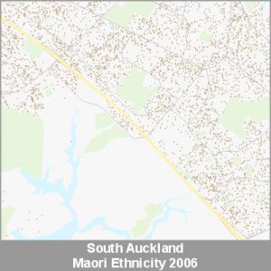 Ethnicity South Auckland Maori ProductImage 2006