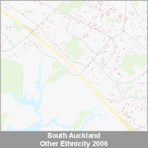 Ethnicity South Auckland Other ProductImage 2006