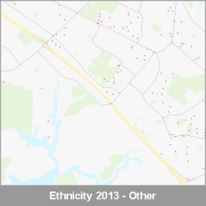 Ethnicity South Auckland Other ProductImage 2013