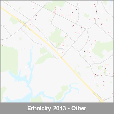 Ethnicity South Auckland Other ProductImage 2013