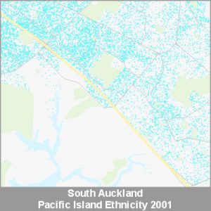Ethnicity South Auckland Pacific ProductImage 2001
