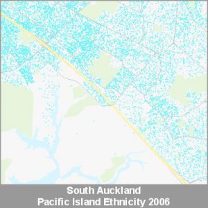 Ethnicity South Auckland Pacific ProductImage 2006