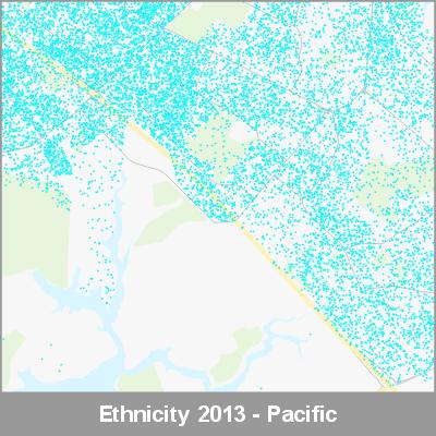 Ethnicity South Auckland Pacific ProductImage 2013