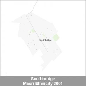 Ethnicity Southbridge Maori ProductImage 2001