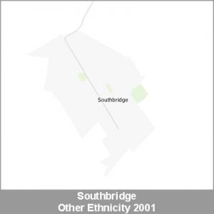 Ethnicity Southbridge Other ProductImage 2001