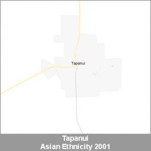 Ethnicity Tapanui Asian ProductImage 2001