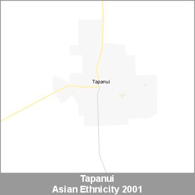 Ethnicity Tapanui Asian ProductImage 2001
