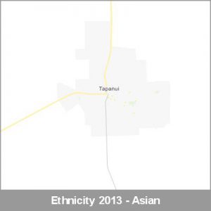 Ethnicity Tapanui Asian ProductImage 2013