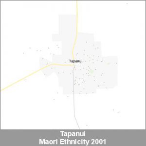 Ethnicity Tapanui Maori ProductImage 2001