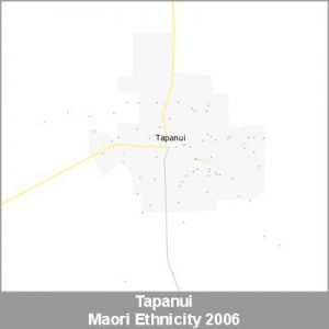 Ethnicity Tapanui Maori ProductImage 2006