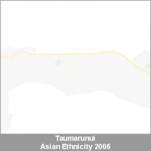 Ethnicity Taumarunui Asian ProductImage 2006