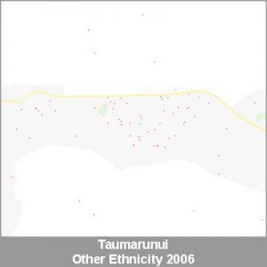 Ethnicity Taumarunui Other ProductImage 2006