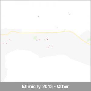 Ethnicity Taumarunui Other ProductImage 2013