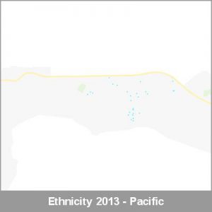 Ethnicity Taumarunui Pacific ProductImage 2013