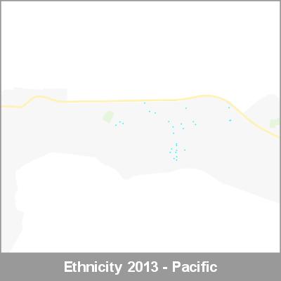 Ethnicity Taumarunui Pacific ProductImage 2013