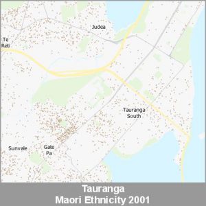 Ethnicity Tauranga Maori ProductImage 2001