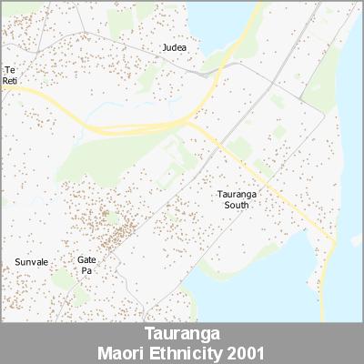 Ethnicity Tauranga Maori ProductImage 2001