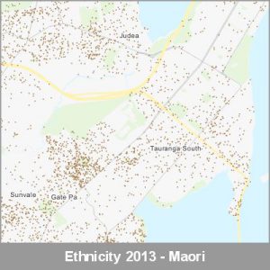 Ethnicity Tauranga Maori ProductImage 2013