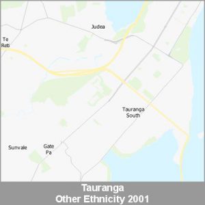 Ethnicity Tauranga Other ProductImage 2001